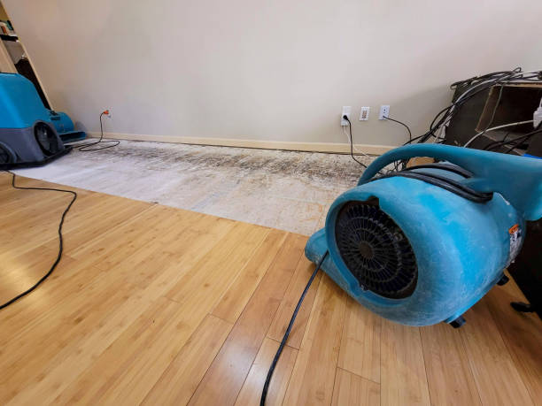 Professional Burst Pipe Water Damage technician working in Ridgefield, CT